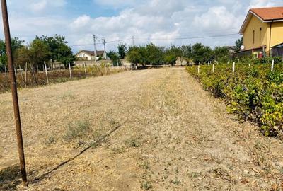 Teren constructii de vanzare - Valu lui Traian, Constanta Teren constructii de vanzare - Valu lui Traian, Constanta - 3