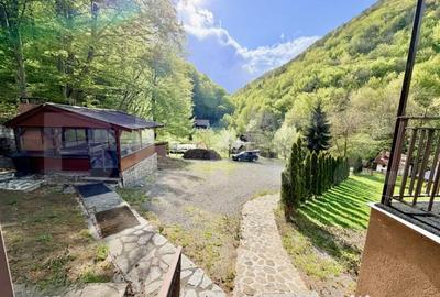 Casă cu 5 camere cu Teren 3000 Mp în Valea Inzelului - 12