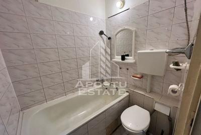 Apartament cu o camera, aer conditionat ,zona Badea Cartan - 5