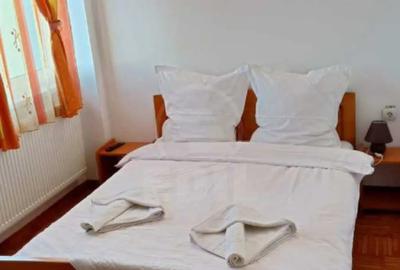 Casă cu 10 camere cu Teren 125 Mp în Lupeni - 14