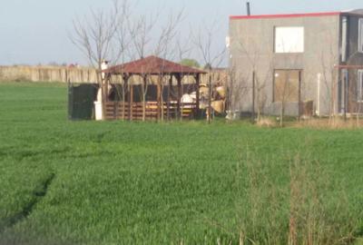 Spațiu comercial, în Buciumeni - 5