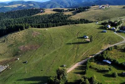 Teren de 1113 mp, în Paltin - 2