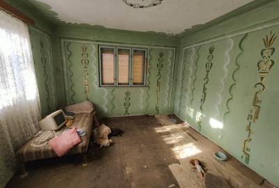 Casă cu 3 camere cu Teren 2000 Mp în Laslău Mare - 1