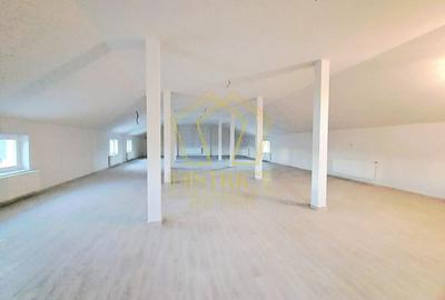 Spatiu Comercial tip Hala I Giroc - 11