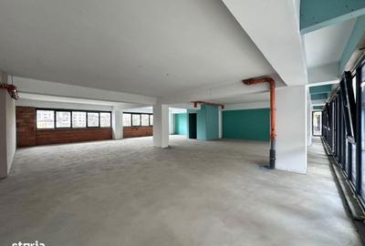 Spațiu comercial, de 523 mp, în Păcurari - 16