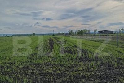 Teren intravilan cu 2 drumurie de acces. - 1