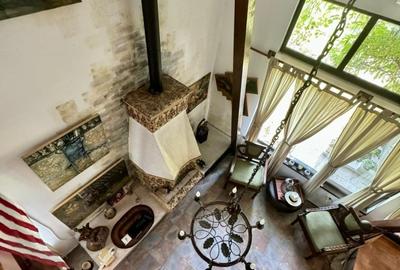Vila de poveste 5 camere zona Bolintin Vale, judetul Giurgiu - 21