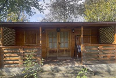 Casute Breaza, teren 1140 mp Casute Breaza, teren 1140 mp - 19