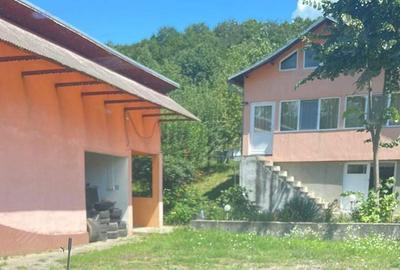 Casă cu 3 camere în Făget - 8