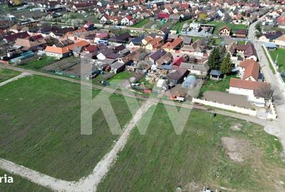 Spațiu comercial, în Hălchiu - 18