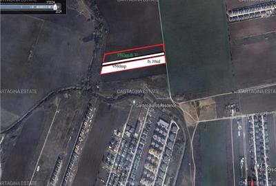 Teren intravilan de 10560 mp, în Tunari - 1