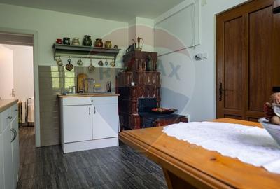 Vanzare vila, Stefesti-Prahova - 9