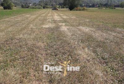 Spațiu comercial, în Pângărați