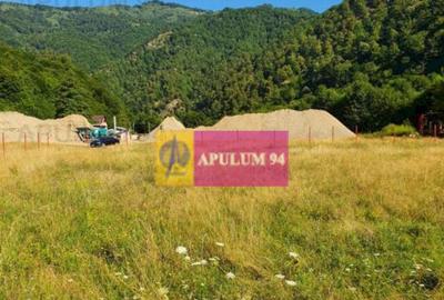 Teren Jude?ul Valcea - Brezoi, Valea lui Stan - 13