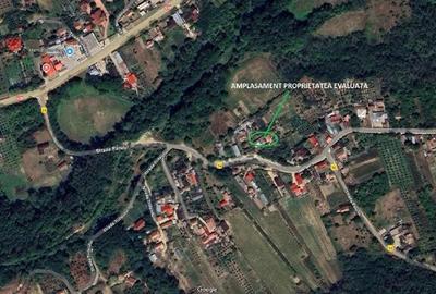 Casa si teren situata in localitatea Dobroteasa, Judetul Olt - 5