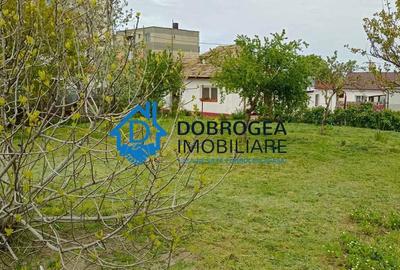 Casă individuală cu 4 camere cu Teren 990 Mp în Mahmudia - 7