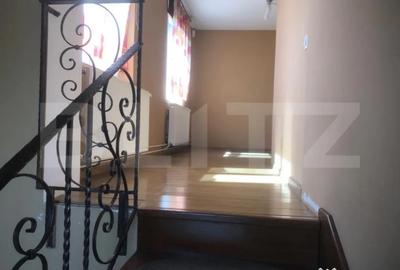 Casă cu 5 camere cu Teren 3000 Mp în Botiz - 10