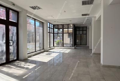 Spațiu comercial, de 485 mp, în Șagului - 3