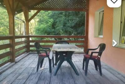 Casa de vacan?a, deosebita, sat Salard com Lunca Bradului Tel - 7