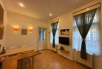 Apartament deosebit in palat istoric - 10