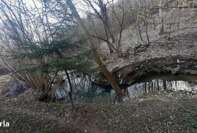 Spațiu comercial, în Hințești - 6