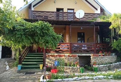 Casa ( P+E ) Zona Mitocasi-Mitocul Dragomirnei - 16