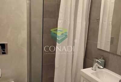 Apartament cu 3 camere semidecomandat în Domenii - 13