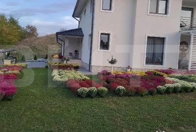 Casă cu 7 camere cu Teren 3500 Mp în Mociu - 15