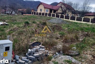 Teren de 700 mp, în Ferneziu - 6
