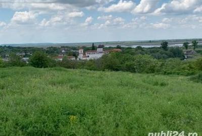 Teren de 4400 mp, în Comana