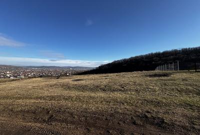 Teren Construcții intravilan de 1153 mp, în Micești - 1