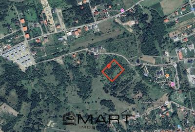 Teren intravilan 2500mp cu PUZ aprobat, CU si utilitati in Cisnadioara