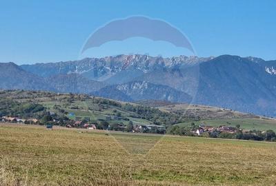 Teren Construcții intravilan de 900 mp, în Bran - 2