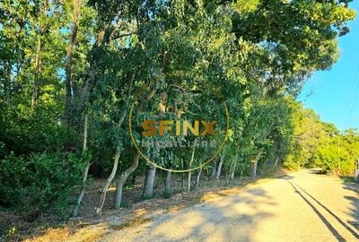 Casă individuală cu 3 camere cu Teren 781 Mp în Balotești - 13