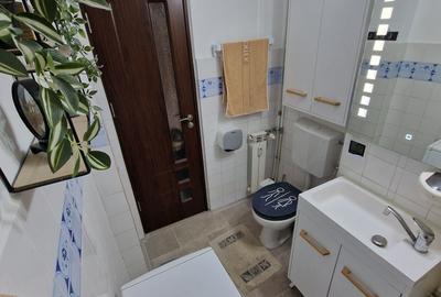 Apartament cu 2 camere decomandat în Nufărul - 3