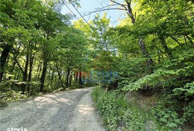 Teren de 708 mp, în Bârnova - 5