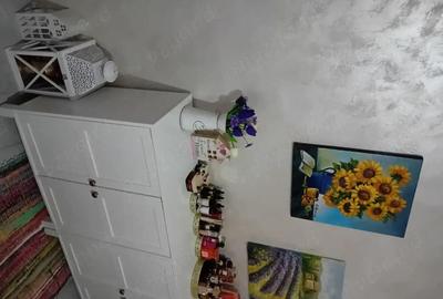 Casă cu 3 camere în Vișina - 1