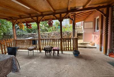 Casa cu 3 canere in Ghelari - 11