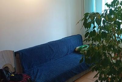 Casă cu 2 camere în Vest - 3