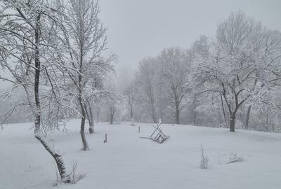 Teren de 2900 mp, în Secăria - 2
