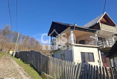Casă cu 9 camere cu Teren 1036 Mp în Vârfuri - 13