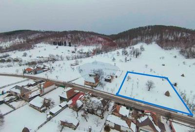 Teren Construcții intravilan de 3000 mp, în Damiș - 1