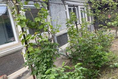 Casă cu 4 camere în Manasia - 2