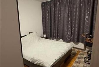 Apartament 2 camere decomandat etaj 1 zona Lipovei - 3