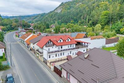 Proximitate imediata fata de Castelul Bran - 53