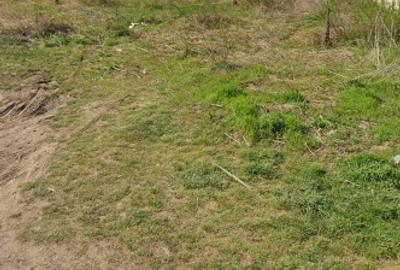 Teren Construcții intravilan de 500 mp, în Frumușani - 3