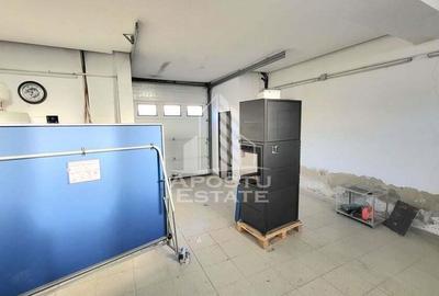 Casă cu 5 camere cu Canalizare în Peciu Nou - 2