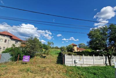 Teren intravilan 2844 mp in Sat Iasi-Gorj, Com. Dragutesti - 7