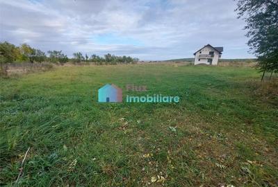 Casă cu 4 camere cu Teren 8450 Mp în Central - 4