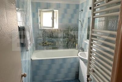 Apartament semidecomandat cu 2 camere, mobilat - Nufarul - 9